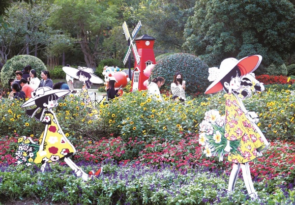 缤纷菊舞.jpg
