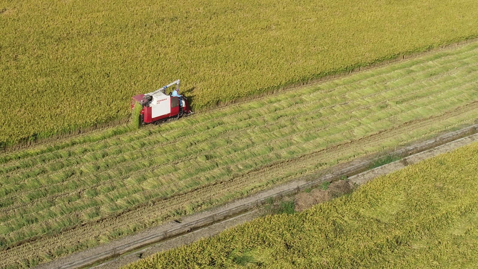 5%28DJI_0032%29(2183587)-20201012161312.jpg